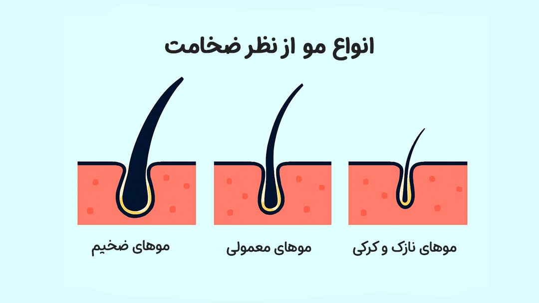 انواع مو از نظر ضخامت